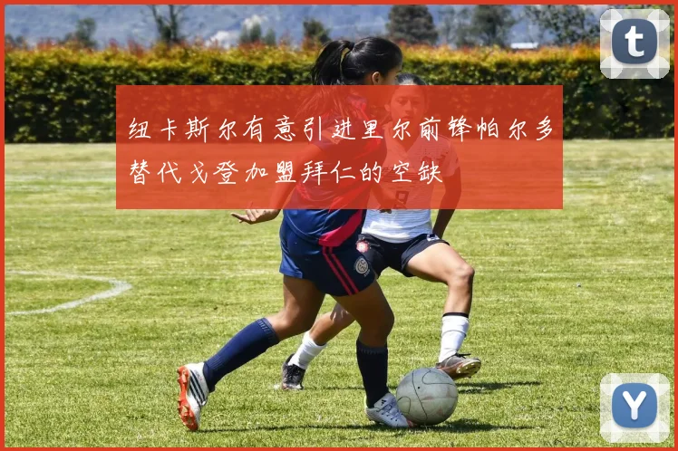 纽卡斯尔有意引进里尔前锋帕尔多替代戈登加盟拜仁的空缺